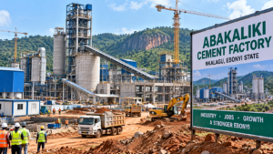 Abakaliki Cement Factory: From Announcement to Accountability
